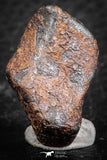 07418 - Agoudal Imilchil Iron IIAB Meteorite 19g Collector Grade