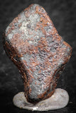 07418 - Agoudal Imilchil Iron IIAB Meteorite 19g Collector Grade