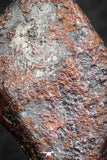 07418 - Agoudal Imilchil Iron IIAB Meteorite 19g Collector Grade