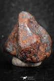 07418 - Agoudal Imilchil Iron IIAB Meteorite 19g Collector Grade