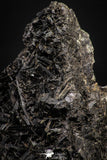 08342 - Beautiful 85.6 Inch Fibrous Black Arfvedsonite with Feldspar - Morocco