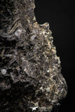 08342 - Beautiful 85.6 Inch Fibrous Black Arfvedsonite with Feldspar - Morocco