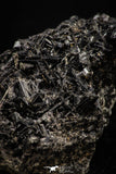 08342 - Beautiful 85.6 Inch Fibrous Black Arfvedsonite with Feldspar - Morocco