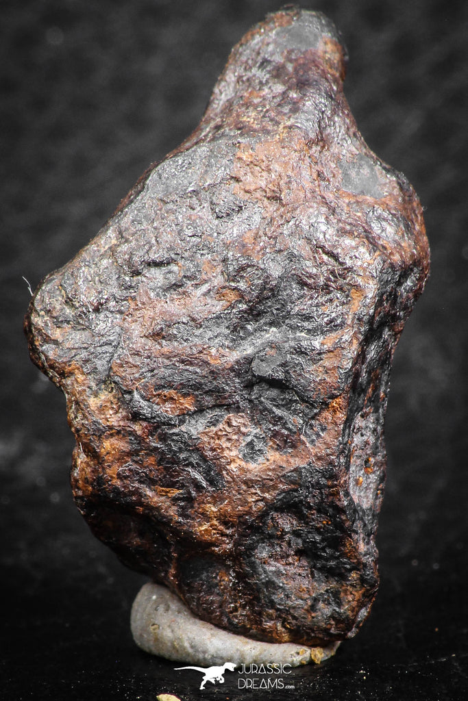 07420 - Agoudal Imilchil Iron IIAB Meteorite 19.0g Collector Grade