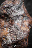 07420 - Agoudal Imilchil Iron IIAB Meteorite 19.0g Collector Grade