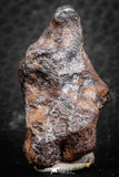 07420 - Agoudal Imilchil Iron IIAB Meteorite 19.0g Collector Grade