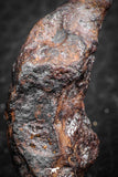 07420 - Agoudal Imilchil Iron IIAB Meteorite 19.0g Collector Grade