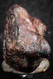 07420 - Agoudal Imilchil Iron IIAB Meteorite 19.0g Collector Grade