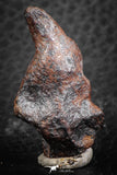 07421 - Agoudal Imilchil Iron IIAB Meteorite 12.0g Collector Grade