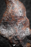 07421 - Agoudal Imilchil Iron IIAB Meteorite 12.0g Collector Grade