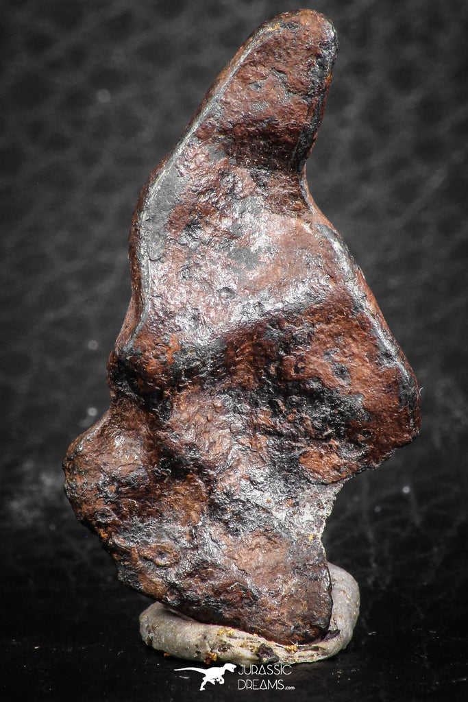 07421 - Agoudal Imilchil Iron IIAB Meteorite 12.0g Collector Grade