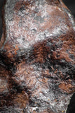 07421 - Agoudal Imilchil Iron IIAB Meteorite 12.0g Collector Grade