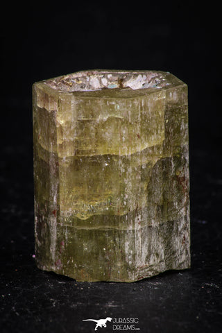 08345 - Beautiful Yellow Green Apatite Crystal - Imilchil (Morocco)