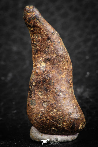 07424 - Agoudal Imilchil Iron IIAB Meteorite 7.0g Collector Grade