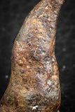 07424 - Agoudal Imilchil Iron IIAB Meteorite 7.0g Collector Grade