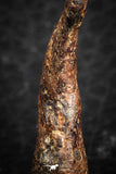 07424 - Agoudal Imilchil Iron IIAB Meteorite 7.0g Collector Grade