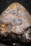 07425 - Agoudal Imilchil Iron IIAB Meteorite 14.0g Collector Grade