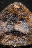 07425 - Agoudal Imilchil Iron IIAB Meteorite 14.0g Collector Grade