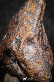 07425 - Agoudal Imilchil Iron IIAB Meteorite 14.0g Collector Grade