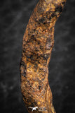 07426 - Agoudal Imilchil Iron IIAB Meteorite 6.0g Collector Grade