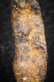 07426 - Agoudal Imilchil Iron IIAB Meteorite 6.0g Collector Grade