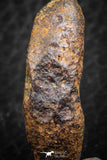 07426 - Agoudal Imilchil Iron IIAB Meteorite 6.0g Collector Grade