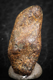 07427 - Agoudal Imilchil Iron IIAB Meteorite 7.0g Collector Grade