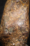 07427 - Agoudal Imilchil Iron IIAB Meteorite 7.0g Collector Grade