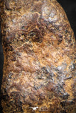 07427 - Agoudal Imilchil Iron IIAB Meteorite 7.0g Collector Grade