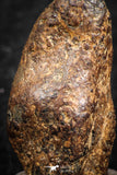 07427 - Agoudal Imilchil Iron IIAB Meteorite 7.0g Collector Grade