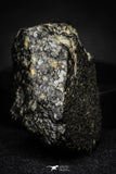 21362 - Rare NWA Unclassified Carbonaceous Chondrite CV3 19.5g with Fresh Fusion Crust