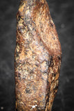 07428 - Agoudal Imilchil Iron IIAB Meteorite 5.0g Collector Grade