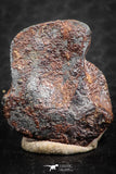 07429 - Agoudal Imilchil Iron IIAB Meteorite 5.0g Collector Grade