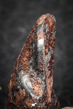 07429 - Agoudal Imilchil Iron IIAB Meteorite 5.0g Collector Grade