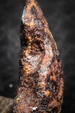 07429 - Agoudal Imilchil Iron IIAB Meteorite 5.0g Collector Grade