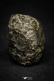 21363 - Almost Complete NWA 869 Ordinary Chondrite L3-6 Regolith Breccia Meteorite 54.5g