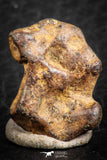 07430 - Agoudal Imilchil Iron IIAB Meteorite 4.0g Collector Grade