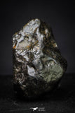 21364 -  Top Rare NWA 10023 Anomalous Plessitic Pallasite Meteorite PMG-an 3,87g