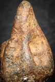 07431 - Agoudal Imilchil Iron IIAB Meteorite 5.0g Collector Grade