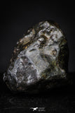21364 -  Top Rare NWA 10023 Anomalous Plessitic Pallasite Meteorite PMG-an 3,87g