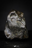 21364 -  Top Rare NWA 10023 Anomalous Plessitic Pallasite Meteorite PMG-an 3,87g