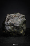 21364 -  Top Rare NWA 10023 Anomalous Plessitic Pallasite Meteorite PMG-an 3,87g