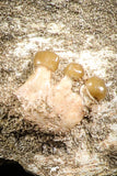 07433 - Beautiful 0.55 Inch Stephanodus Partial Dentary Bone in Natural Matrix Late Cretaceous