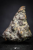 21366 - Beautiful Rare NWA 8725 Carbonaceous Chondrite CR2 Meteorite 1,5g