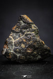 21366 - Beautiful Rare NWA 8725 Carbonaceous Chondrite CR2 Meteorite 1,5g