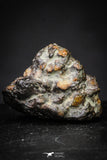 21366 - Beautiful Rare NWA 8725 Carbonaceous Chondrite CR2 Meteorite 1,5g