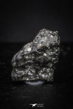 21369 - Top "Black Beauty" NWA 11921 MARTIAN METEORITE Polymict Breccia 0,03g