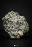 21370 - Top Rare "Tissint" MARTIAN Shergottite Meteorite 0,078 g with Fusion Crust
