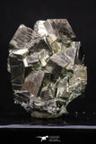 20323 - Beautiful 1.97 Inch Pyrite Crystals from famous Navajun Mines (Spain)