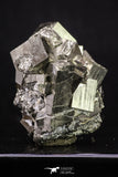 20323 - Beautiful 1.97 Inch Pyrite Crystals from famous Navajun Mines (Spain)